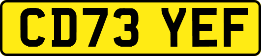 CD73YEF