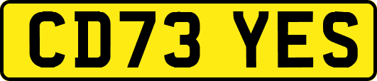 CD73YES
