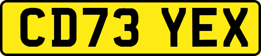CD73YEX