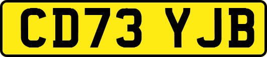 CD73YJB