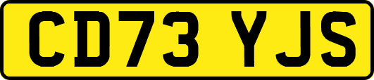 CD73YJS