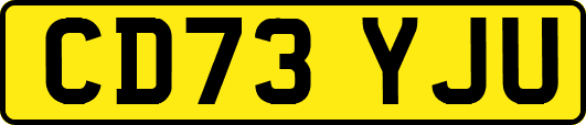 CD73YJU
