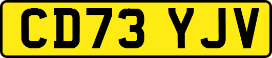 CD73YJV