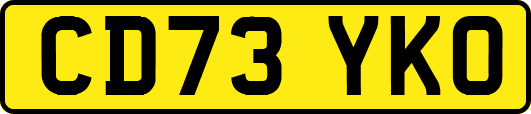 CD73YKO