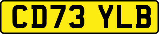 CD73YLB