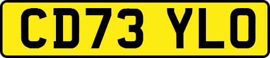 CD73YLO