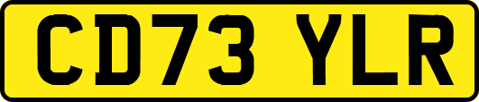 CD73YLR