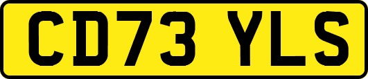 CD73YLS