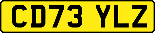 CD73YLZ