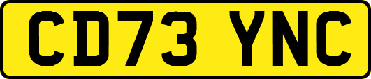 CD73YNC