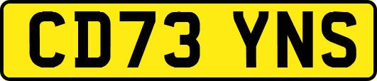 CD73YNS