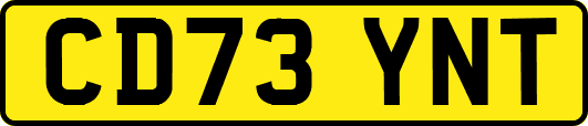 CD73YNT