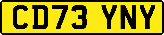 CD73YNY