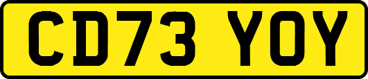 CD73YOY