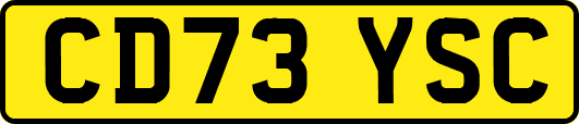 CD73YSC