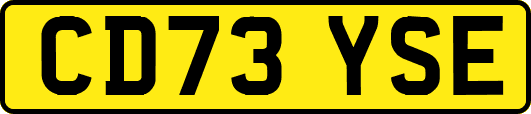 CD73YSE