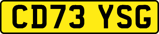 CD73YSG