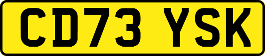 CD73YSK