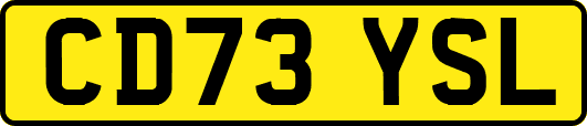 CD73YSL