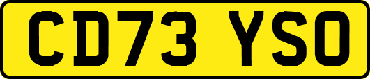 CD73YSO