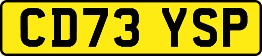CD73YSP