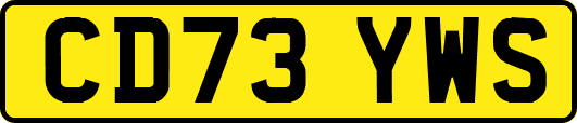 CD73YWS