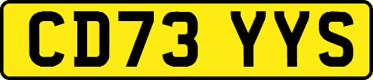 CD73YYS