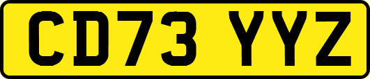 CD73YYZ