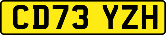 CD73YZH