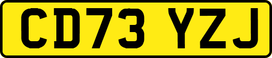 CD73YZJ