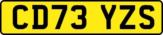 CD73YZS