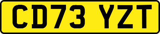 CD73YZT