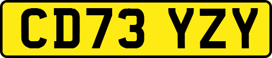 CD73YZY