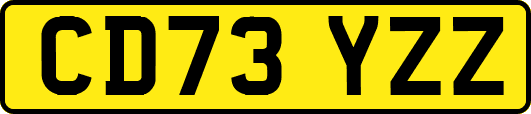 CD73YZZ