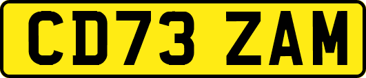CD73ZAM