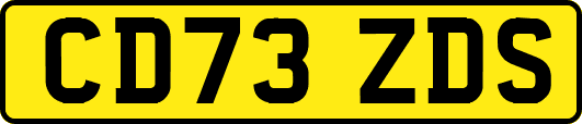 CD73ZDS
