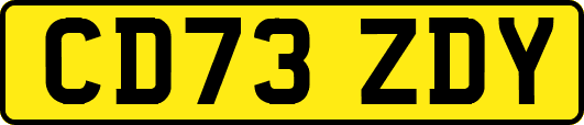 CD73ZDY