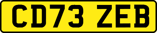 CD73ZEB
