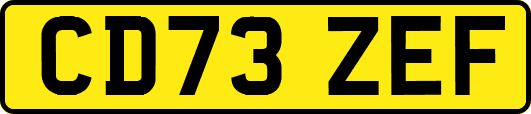 CD73ZEF