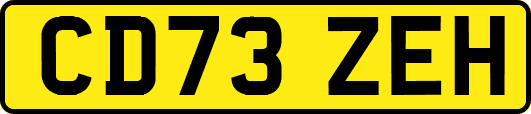 CD73ZEH