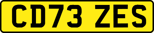 CD73ZES