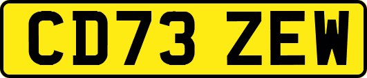 CD73ZEW