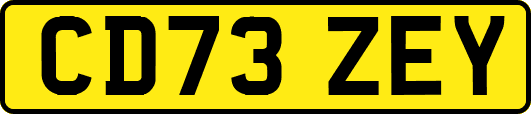 CD73ZEY