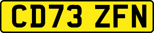CD73ZFN