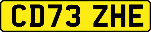 CD73ZHE