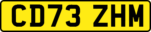 CD73ZHM