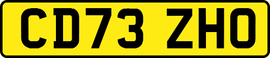 CD73ZHO