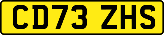 CD73ZHS
