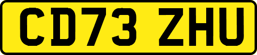 CD73ZHU