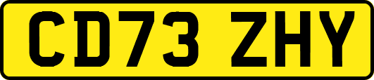 CD73ZHY